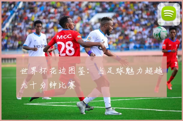 世界杯花边图鉴：当足球魅力超越九十分钟比赛