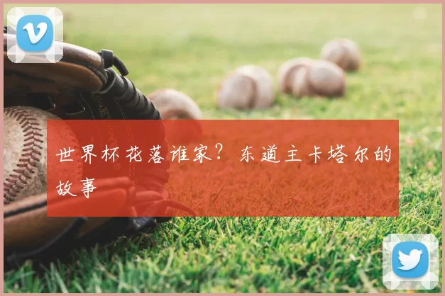 世界杯花落谁家?东道主卡塔尔的故事
