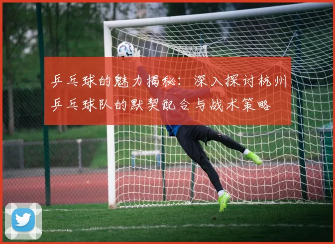 乒乓球的魅力揭秘：深入探讨杭州乒乓球队的默契配合与战术策略