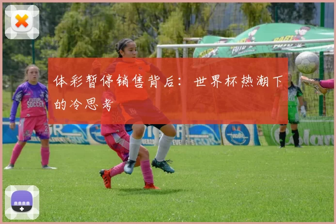 体彩暂停销售背后:世界杯热潮下的冷思考