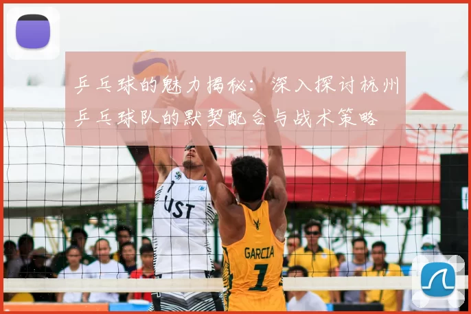乒乓球的魅力揭秘：深入探讨杭州乒乓球队的默契配合与战术策略