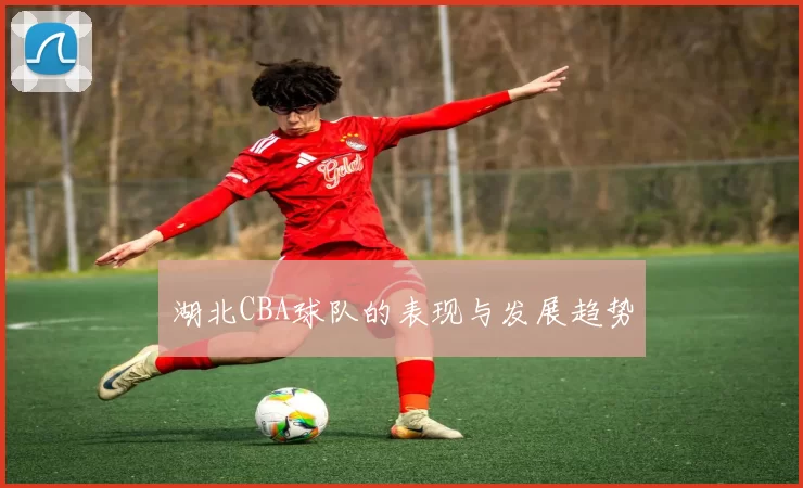湖北CBA球队的表现与发展趋势