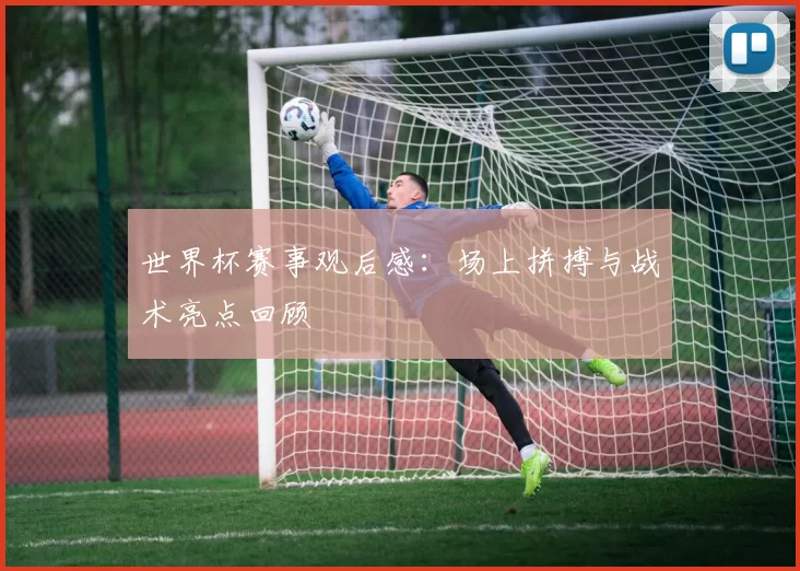 世界杯赛事观后感:场上拼搏与战术亮点回顾