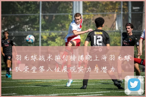 羽毛球战术排行榜揭晓上海羽毛球队荣登第八位展现实力与潜力