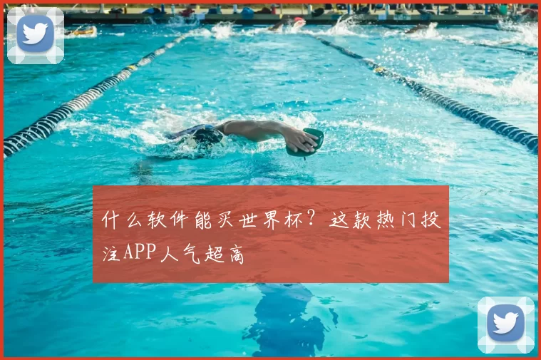 什么软件能买世界杯？这款热门投注APP人气超高
