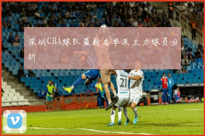深圳CBA球队最新名单及主力球员分析