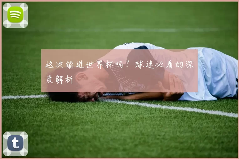 这次能进世界杯吗？球迷必看的深度解析