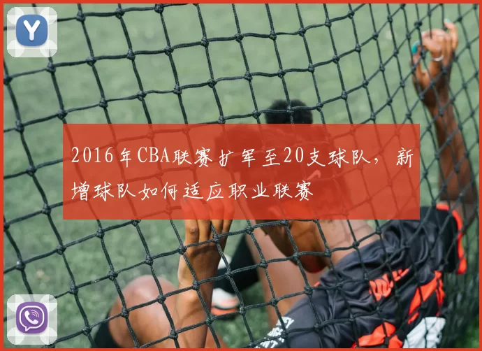 2016年CBA联赛扩军至20支球队,新增球队如何适应职业联赛